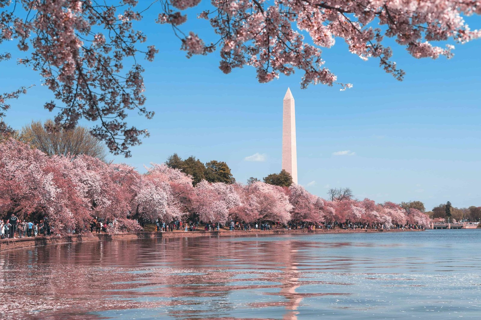 Washington DC — USA